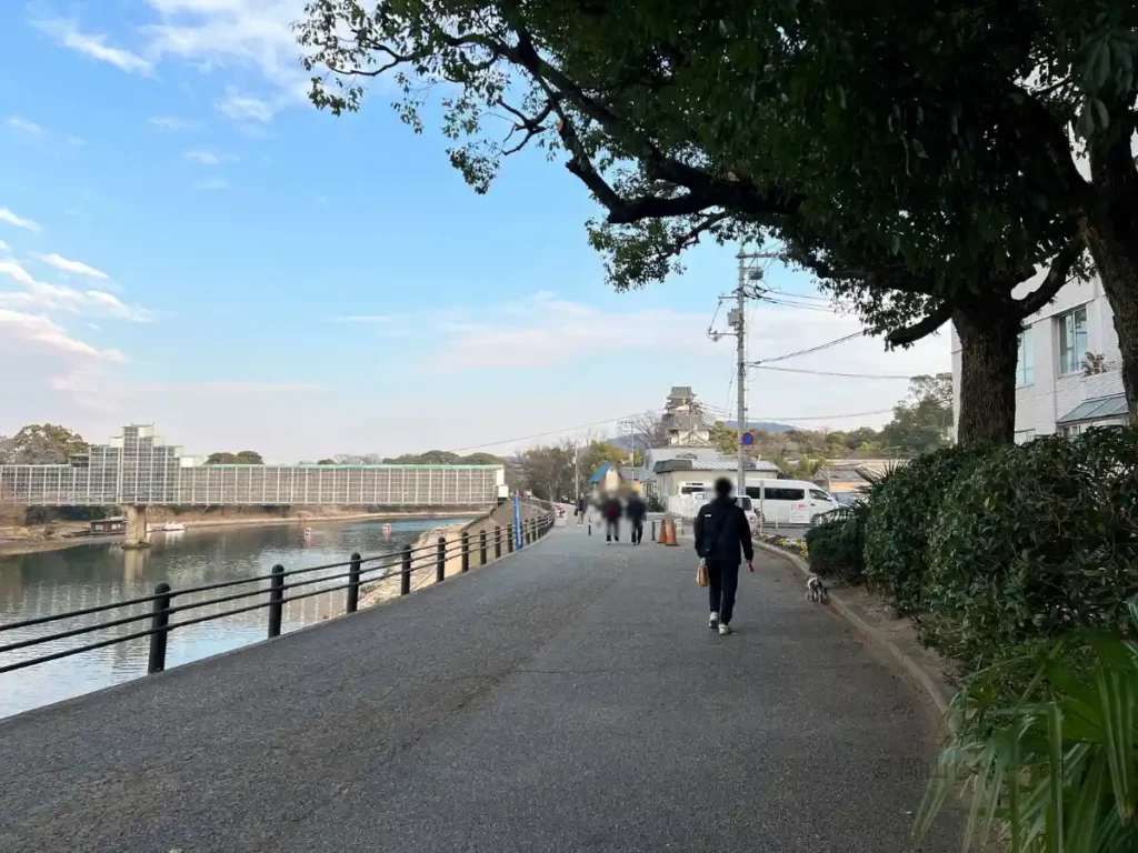 旭川沿いの遊歩道から見た川と周辺の景色。散歩や写真撮影に人気の区間