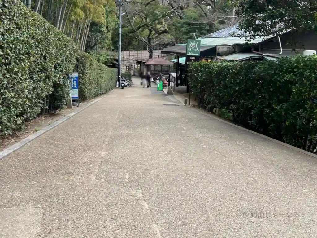 月見橋を渡ったところからの下りの坂道がわかる写真