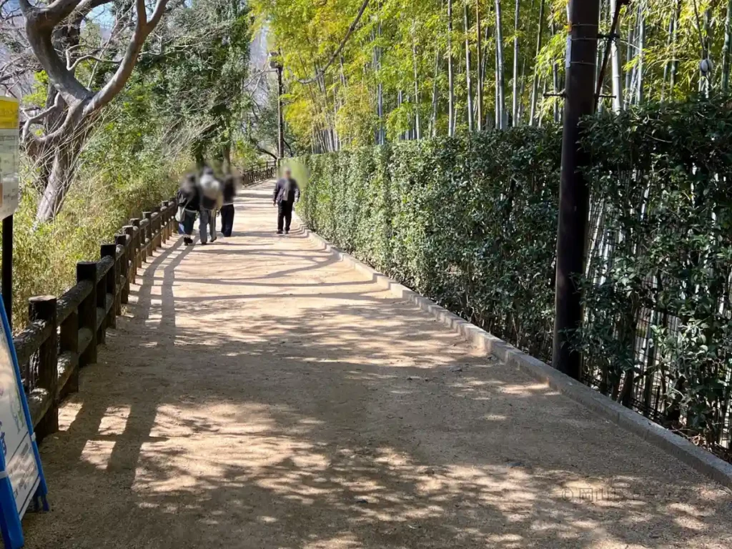 月見橋を渡って左の道