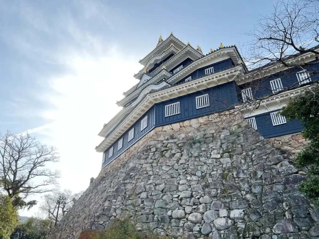 後楽園側（岡山城北側）から見た城の外観