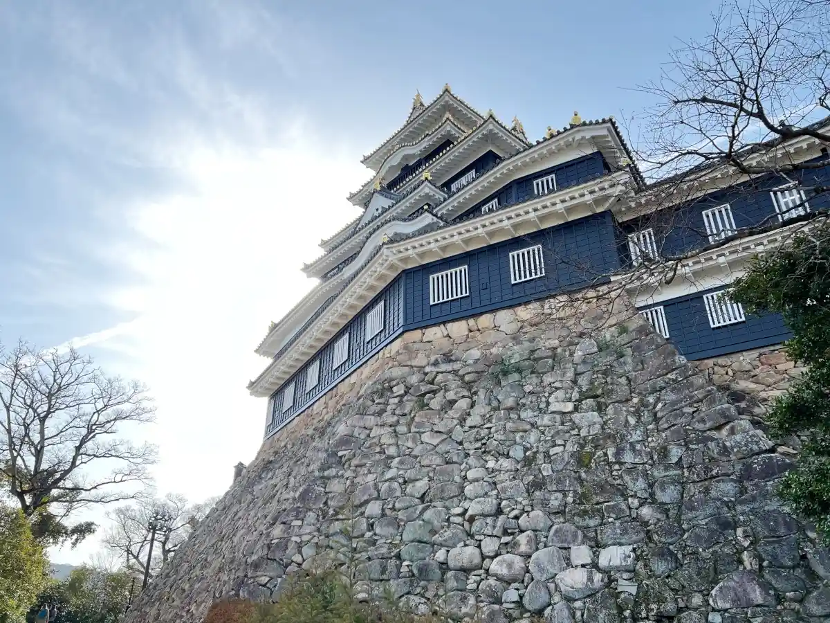 後楽園側(岡山城北側)から見た城の外観