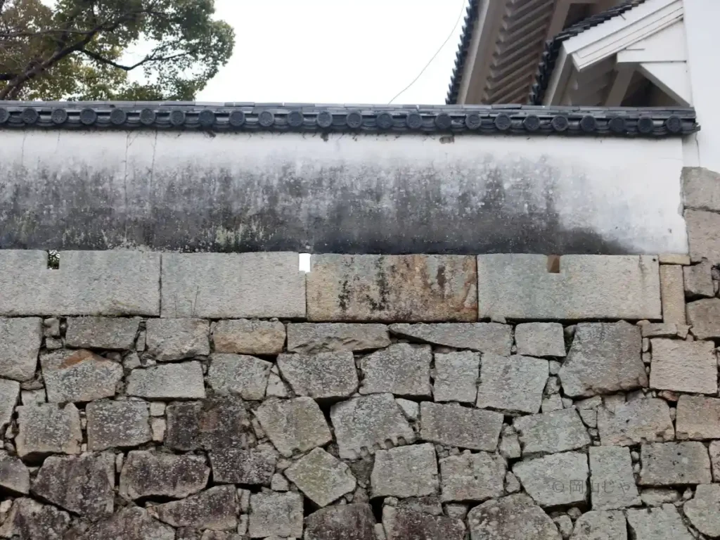 岡山城・月見櫓の石垣に残る銃眼石(鉄砲狭間)を外から見たもの